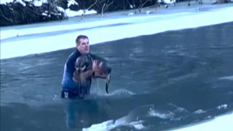 WATCH:  Dog saved in icy river rescue