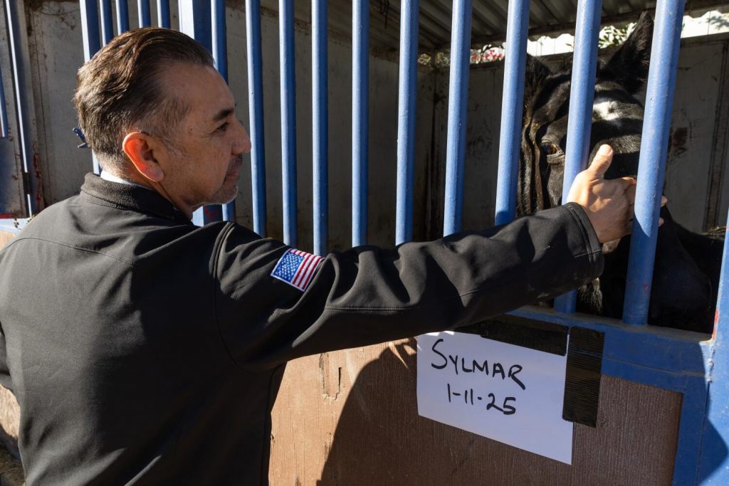 Column: The shrine to Mexican horse culture that's now a sanctuary from the fires