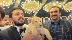 Pakistan Youtuber ordered to make welfare videos for owning lion