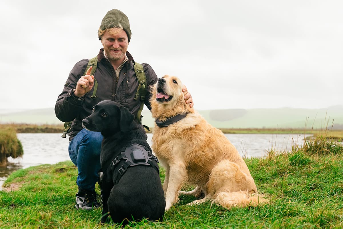 First satellite tracker for dogs keeps tabs on your pet anywhere