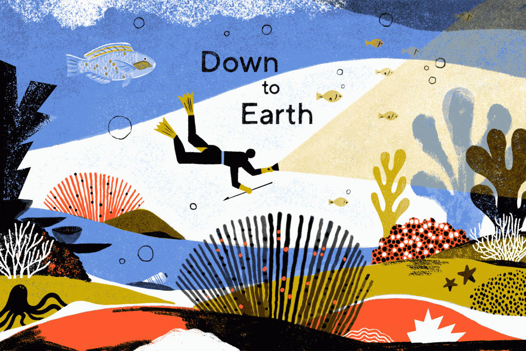 Down to Earth, Vox’s project on the biodiversity crisis, enters its 4th year