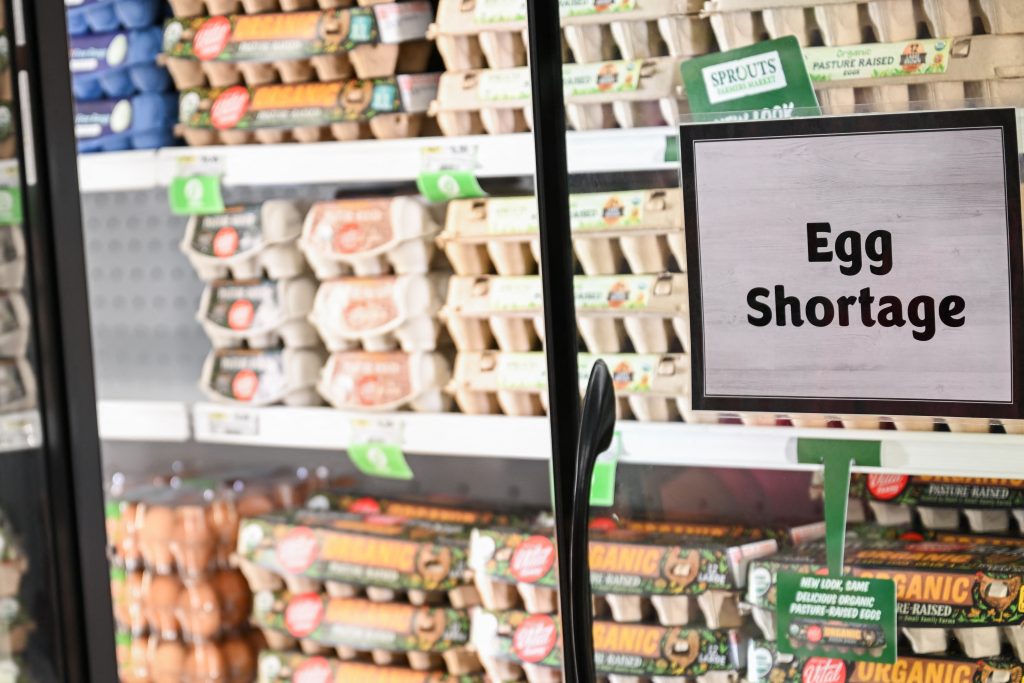 Eggs are pricey again. What’s the government doing about it?