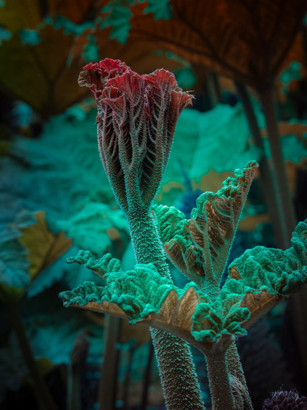 Beguiling Botanicals Fluoresce in Tom Leighton’s Otherworldly Photographs