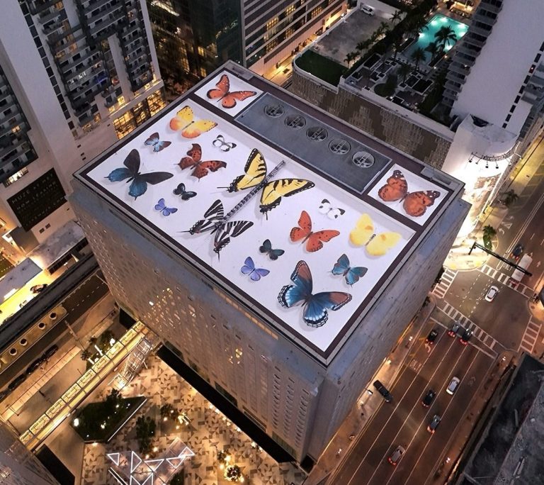 Mantra’s Murals Collect Enormous Butterflies in Building-Size Specimen Cases